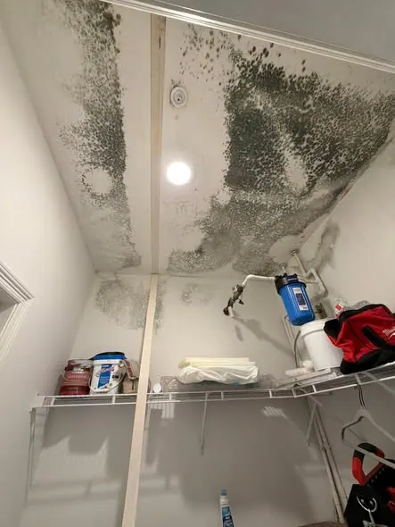 Mold spreading across the ceiling and upper walls of a storage closet
