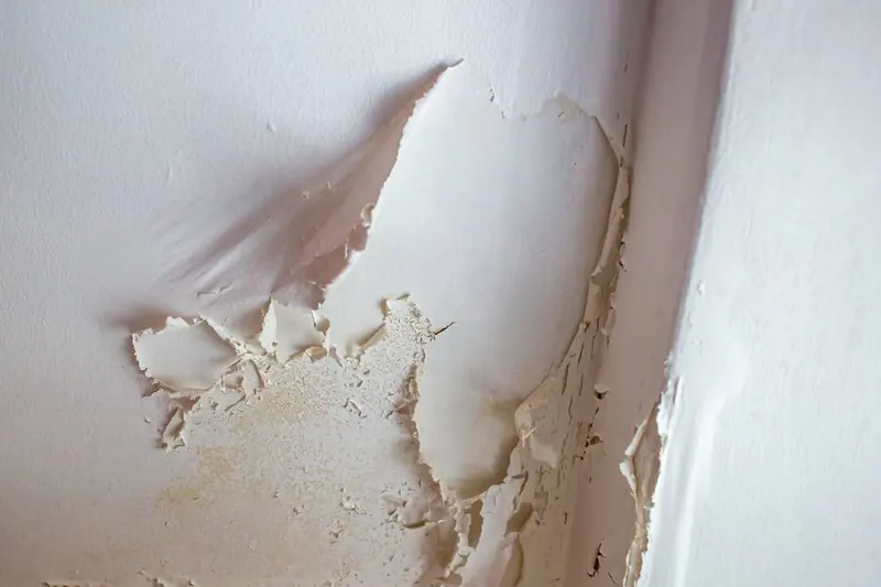 Paint peeling and bubbling from water behind the wall