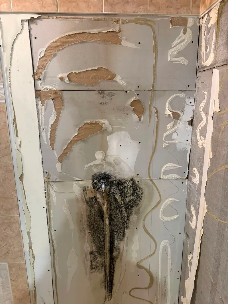 Shower wall opened to show black mold inside the cavity