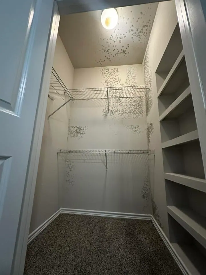 Mold spots across the walls of a walk-in closet